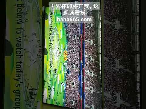 郑钦文东京,站夺冠,创纪录连获,万博manbetx体育平台,万博体育官网,万博体育app下载,ManBetX,SPORTS