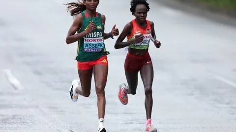 新周期集训阵容预测：老少搭配，力推接应与二传关键位置人才